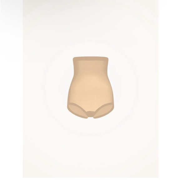 NWT Wolford Tulle Control Panty High Waist Nude 10 - Picture 6 of 13
